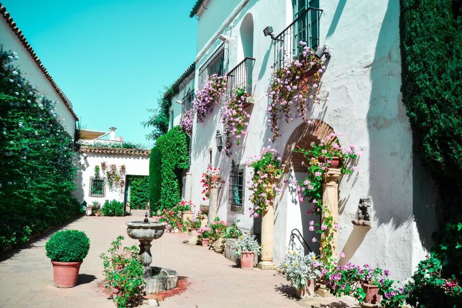 Cordoba: Patios and Viana Palace Tour - Key Points About the Viana Palace Visit