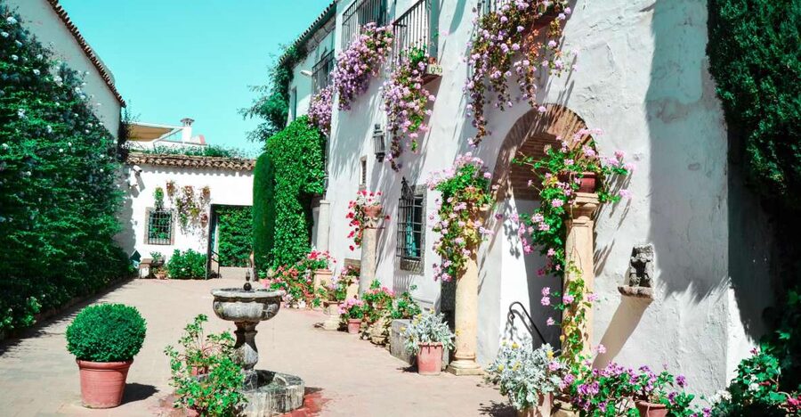 Cordoba: Patios and Viana Palace Tour - Meeting at Plaza de Don Gome