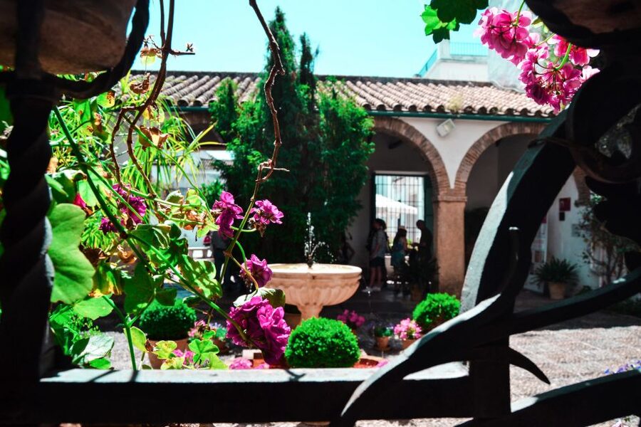 Cordoba: Patios and Viana Palace Tour - From Medieval Residence to Changing Palace