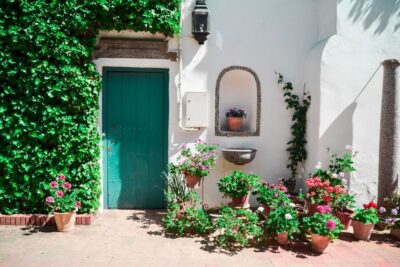 Patios and Viana Palace Tour