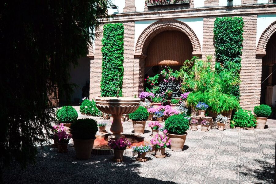 Cordoba: Patios and Viana Palace Tour - Timing, Pace, and Physical Access