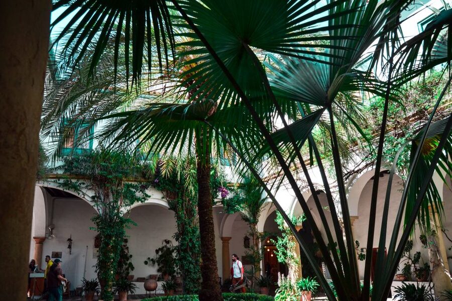 Cordoba: Patios and Viana Palace Tour - Who Will Enjoy This Tour Most?