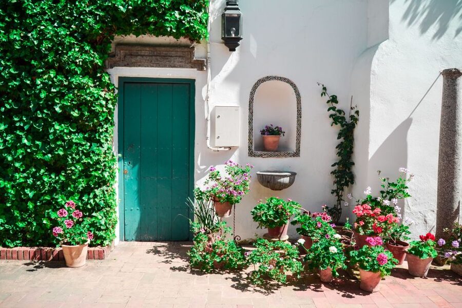 Cordoba: Patios and Viana Palace Tour - The Twelve Patios of Viana Palace