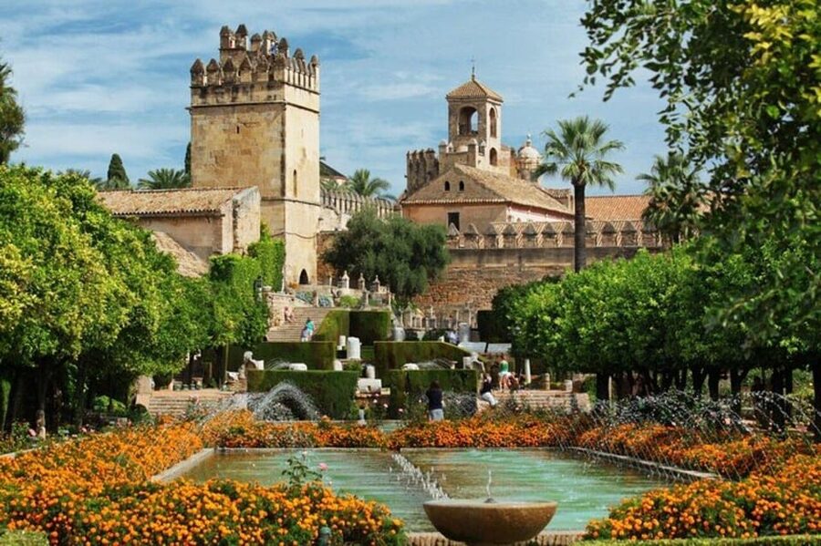 Cordoba : Patios Private Walking Tour - Key points about Córdoba’s patio walk