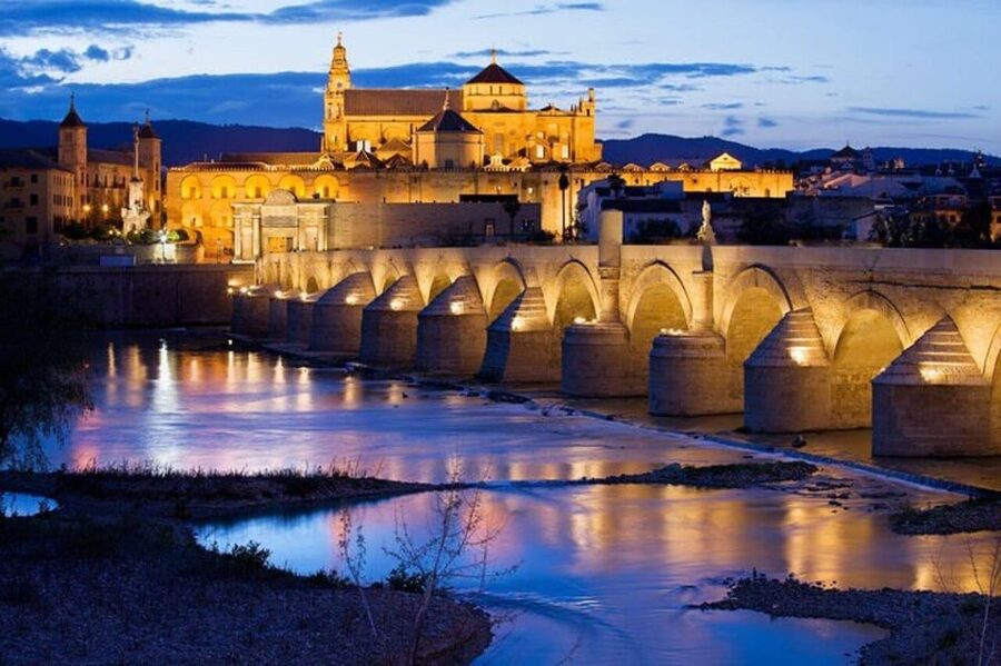 Cordoba : Patios Private Walking Tour - What the private format is worth at $82