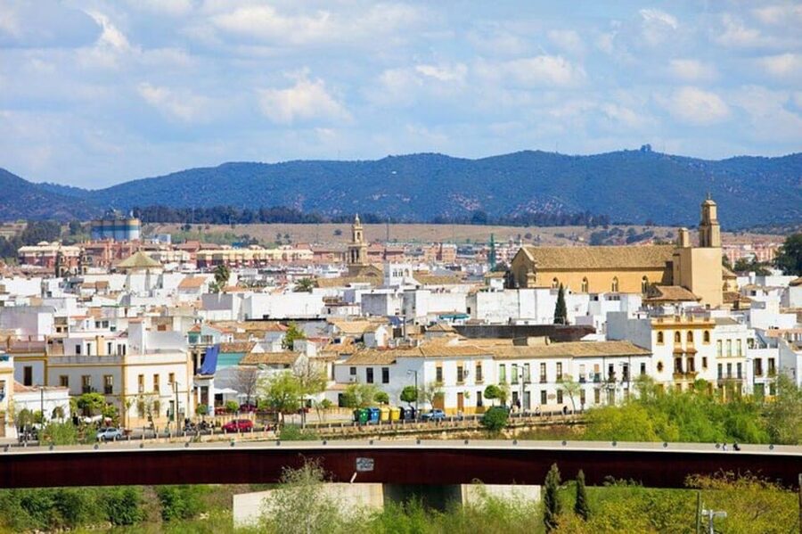 Cordoba : Patios Private Walking Tour - Starting at Calle Isabel Losa, 8