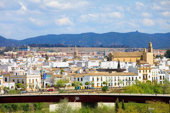 Cordoba Private Custom Walking Tour With A Guide (Private Tour) - Calleja de las Flores and the classic Córdoba photograph