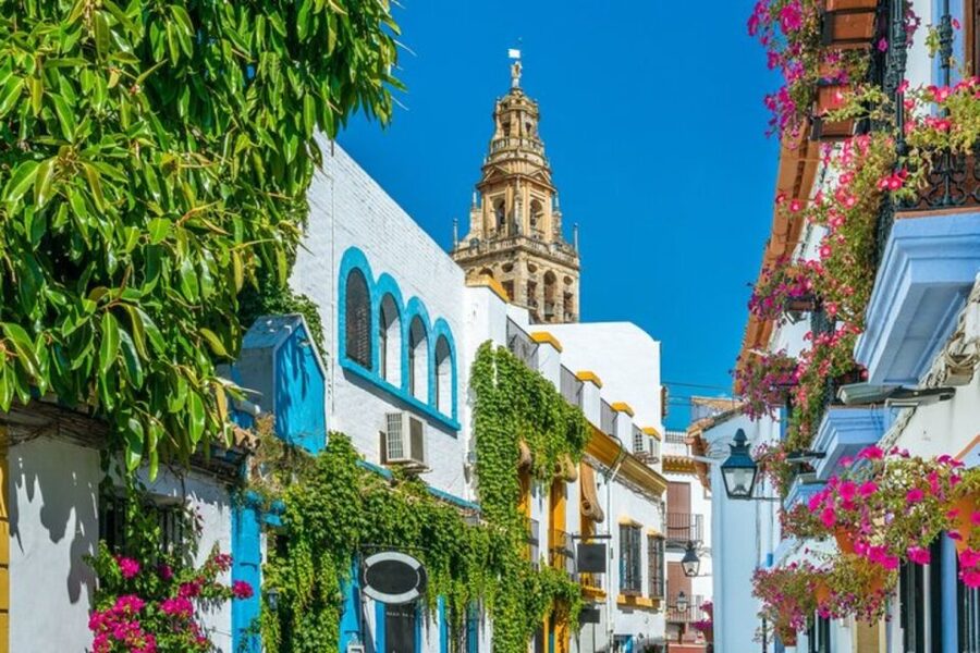 Córdoba: Private Mosque-Cathedral and City Tour - Walking La Judería for another 75 minutes
