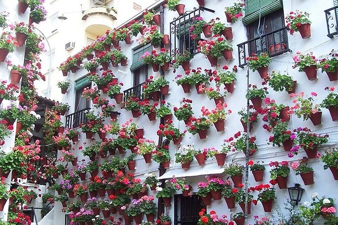 Cordoba private tour from Seville including the great Mosque for up to 8 persons - Key points to know before booking