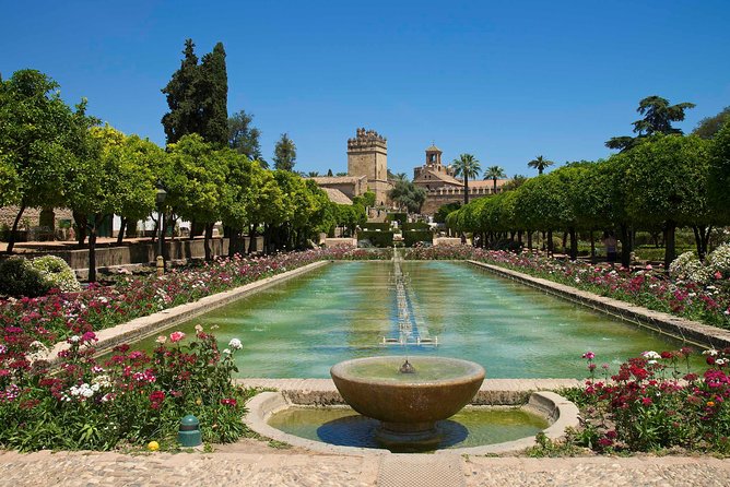 Cordoba private tour from Seville including the great Mosque for up to 8 persons - How the private format changes the experience