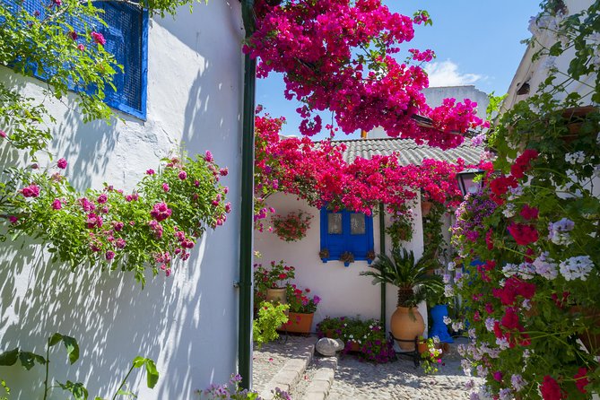 Cordoba's Authentic Patios: 2-Hour Tour with Tickets - Key points to know before you book