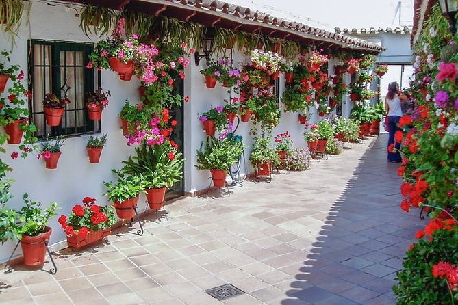 Cordoba's Authentic Patios: 2-Hour Tour with Tickets - Why Córdoba’s patios are worth your time