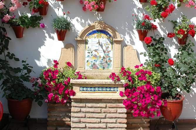 Cordoba's Authentic Patios: 2-Hour Tour with Tickets - Walking into the Alcázar Viejo and San Basilio