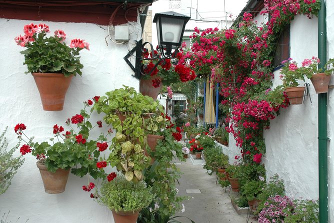 Cordoba's Authentic Patios: 2-Hour Tour with Tickets - Five courtyards, five different personalities