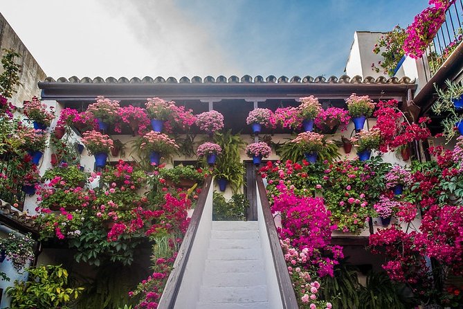 Cordoba's Authentic Patios: 2-Hour Tour with Tickets - Meeting the owners and hearing the practical details