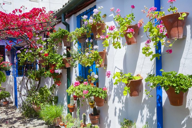 Cordoba's Authentic Patios: 2-Hour Tour with Tickets - Starting at Plaza del Triunfo