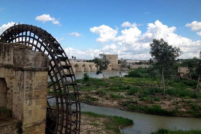 Cordoba & & The Mosque Small-Group Day Tour from Seville - The Synagogue and the shorter old-town stops
