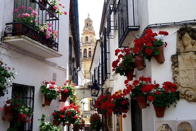 Cordoba & & The Mosque Small-Group Day Tour from Seville - Guides who shape the day