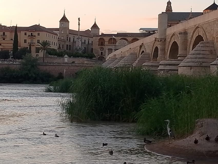 Córdoba: Tour of the three cultures to see the city in a day - Why this is a smart first look at Córdoba