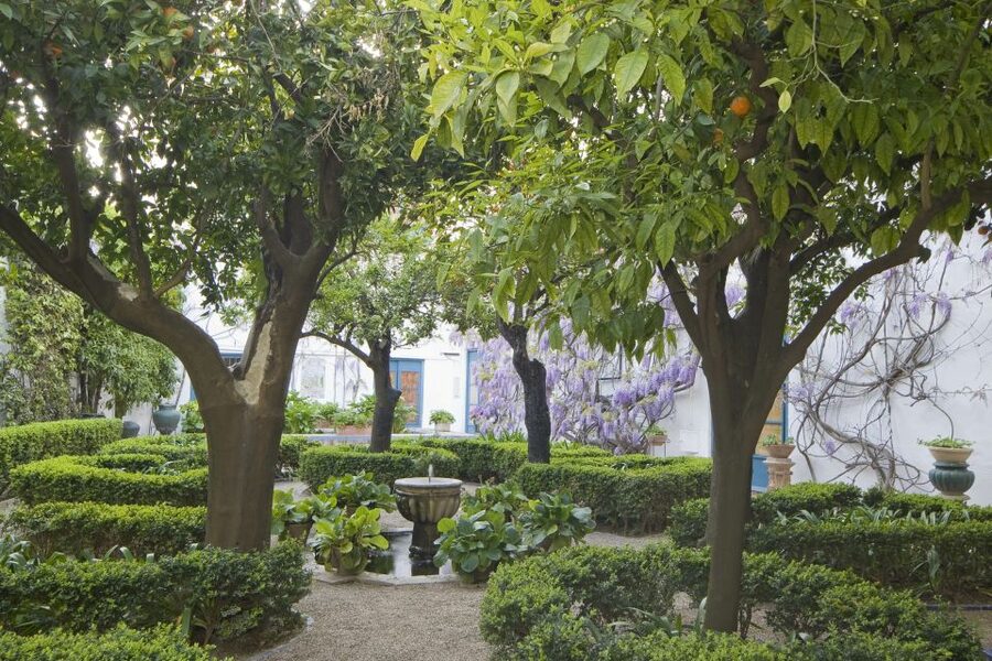 Córdoba: Viana Palace Gardens and Patios Entry Ticket - Key points to know before visiting Viana Palace