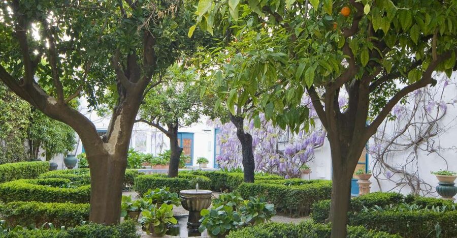 Córdoba: Viana Palace Gardens and Patios Entry Ticket - Entering the 12 courtyards