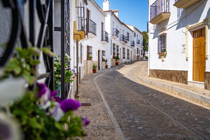 Day trip to Zahara, Setenil and Ronda from Seville - What the $102.84 price gets you