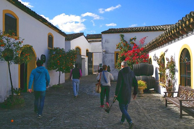 Discover Sherry in Jerez - Key points to know before booking