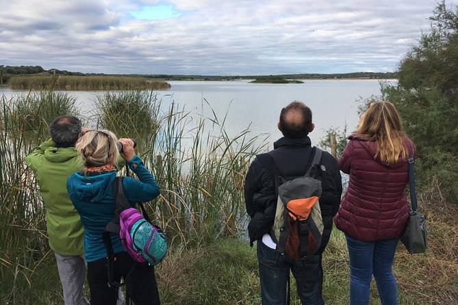 Donana National Park and El Rocío: Guided Tour from Seville - Dehesa de Abajo and the white stork colony