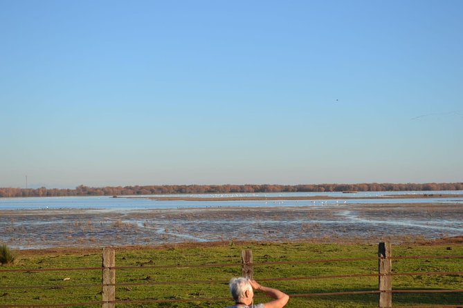 Donana National Park and El Rocío: Guided Tour from Seville - El Rocío, a village with sandy streets and horses