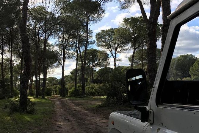 Donana National Park and El Rocío: Guided Tour from Seville - Palacio del Acebrón and the La Rocina walk
