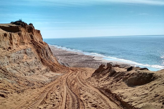 Donana National Park and El Rocío: Guided Tour from Seville - Matalascañas beach and Spain’s largest dune system