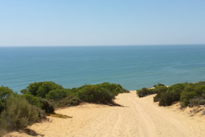 Donana National Park and El Rocío: Private Tour from Seville - El Rocío, a Pilgrimage Village with a Different Rhythm