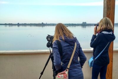 Donana National Park and El Rocío: Private Tour from Seville