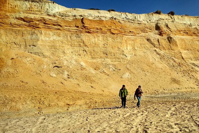 Donana National Park and El Rocío: Private Tour from Seville - Three Hours Inside Doñana National Park