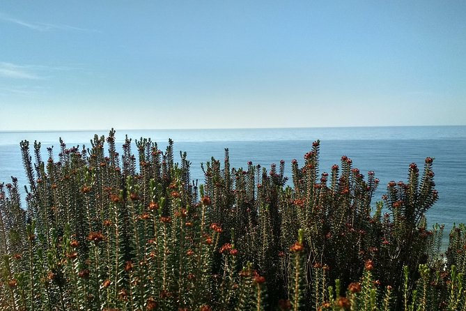 Donana National Park and El Rocío: Private Tour from Seville - The Best Season and the Wildlife Question