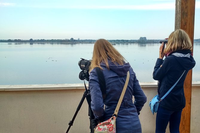 Donana National Park and El Rocío: Private Tour from Seville - Palacio del Acebrón and the Gallery Forest
