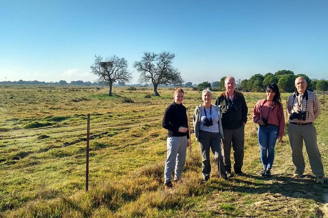 Donana National Park: Guided Day Tour from Seville - Birds, deer, and the chance of an Iberian lynx