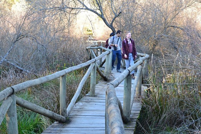 Donana National Park: Guided Day Tour from Seville - Water levels and weather can change the route