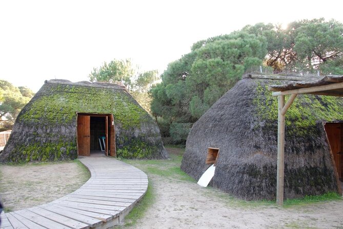Doñana National Park in 4x4 and El Rocío - Key details before you book