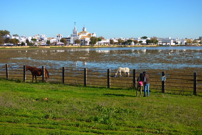 Doñana National Park in 4x4 and El Rocío - Wildlife watching in a dry year