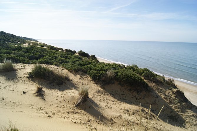Doñana National Park in 4x4 and El Rocío - Is $107.17 good value?
