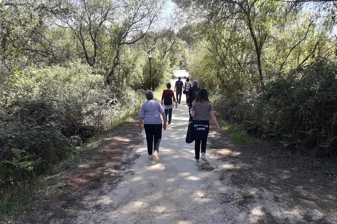 Doñana National Park in 4x4 and El Rocío - Who will enjoy this day most