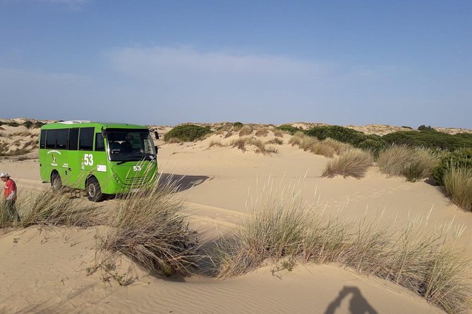 Doñana National Park in 4x4 and El Rocío - Four hours across Doñana by 4x4