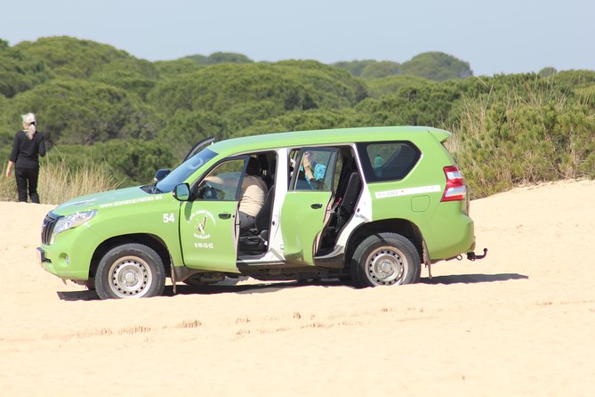 Donana National Park & Matalascanas Guided Tour from Seville - Timing, transport, and comfort