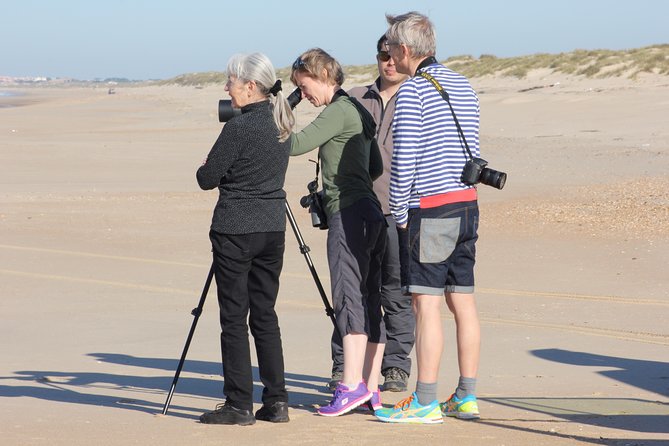 Donana National Park & Matalascanas Guided Tour from Seville - Who should book this Doñana tour?