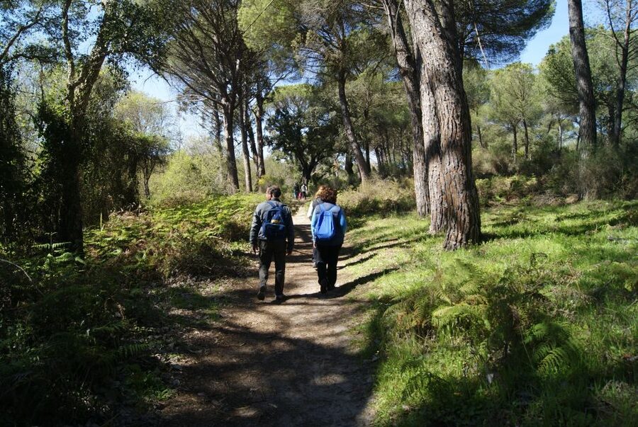 Doñana National Park Off-Road Tour from Seville - Key points to know before booking