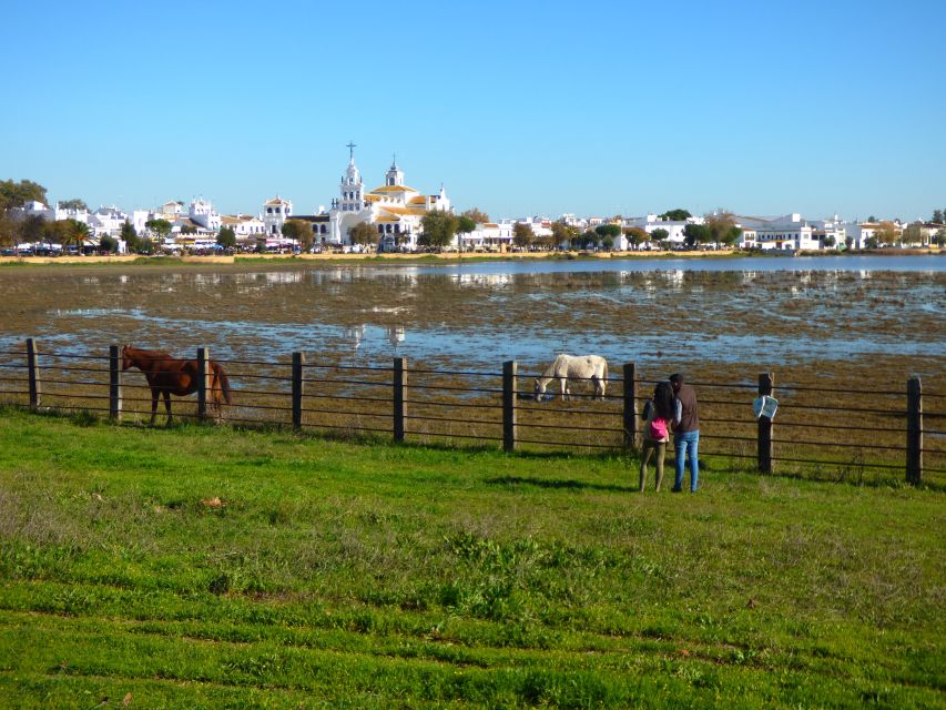 Doñana National Park Off-Road Tour from Seville - Why Doñana makes a worthwhile day trip from Seville