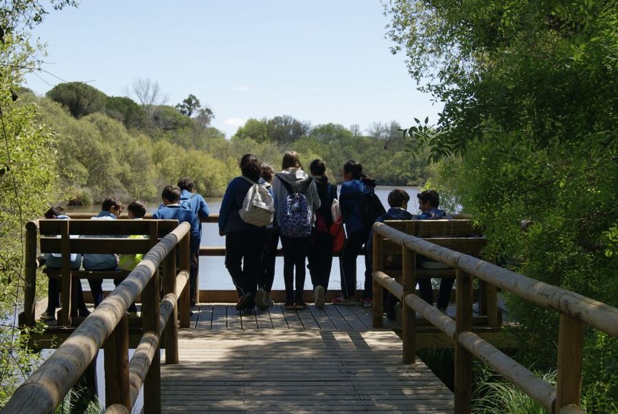 Doñana National Park Off-Road Tour from Seville - Inside the protected reserve by 4WD