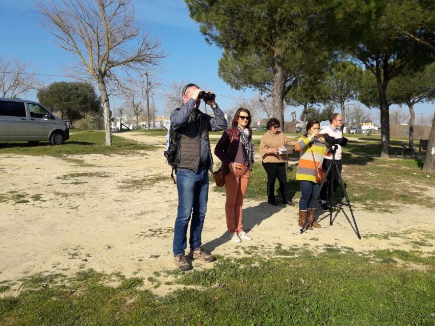 Doñana National Park Off-Road Tour from Seville - The Atlantic beach and Spain’s long shoreline
