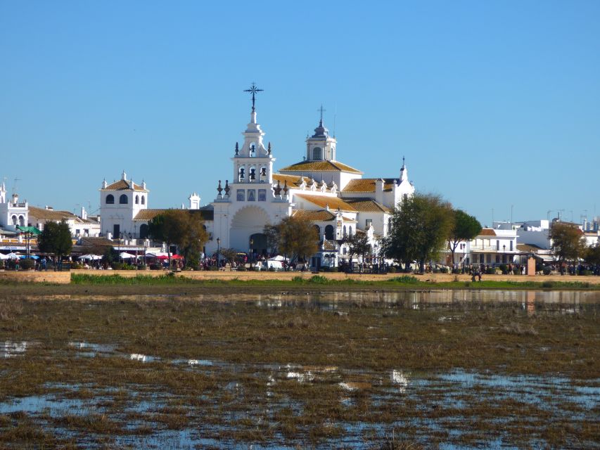 Doñana National Park Off-Road Tour from Seville - Is $105 a fair price?